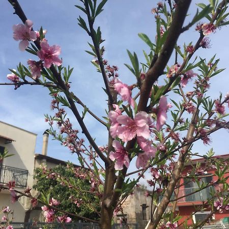 Il Giardino Di Nonno Agostino Acomodação com café da manhã Castellammare di Stabia Exterior foto