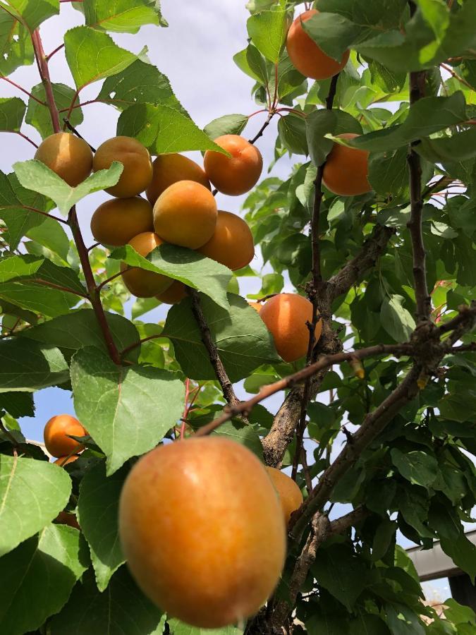 Il Giardino Di Nonno Agostino Castellammare di Stabia Exterior foto