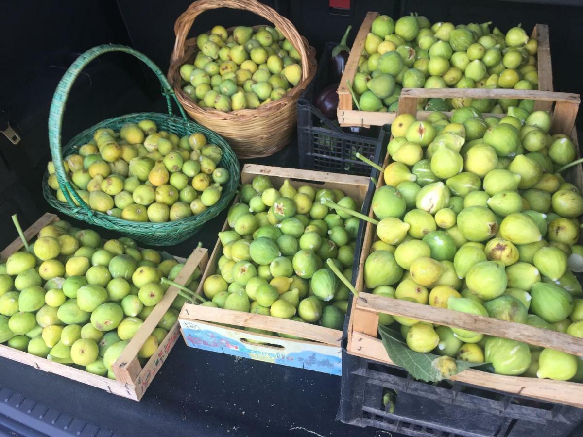 Il Giardino Di Nonno Agostino Castellammare di Stabia Exterior foto