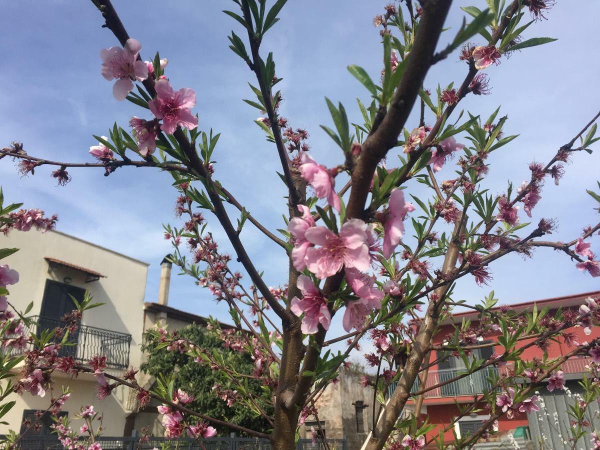 Il Giardino Di Nonno Agostino Acomodação com café da manhã Castellammare di Stabia Exterior foto