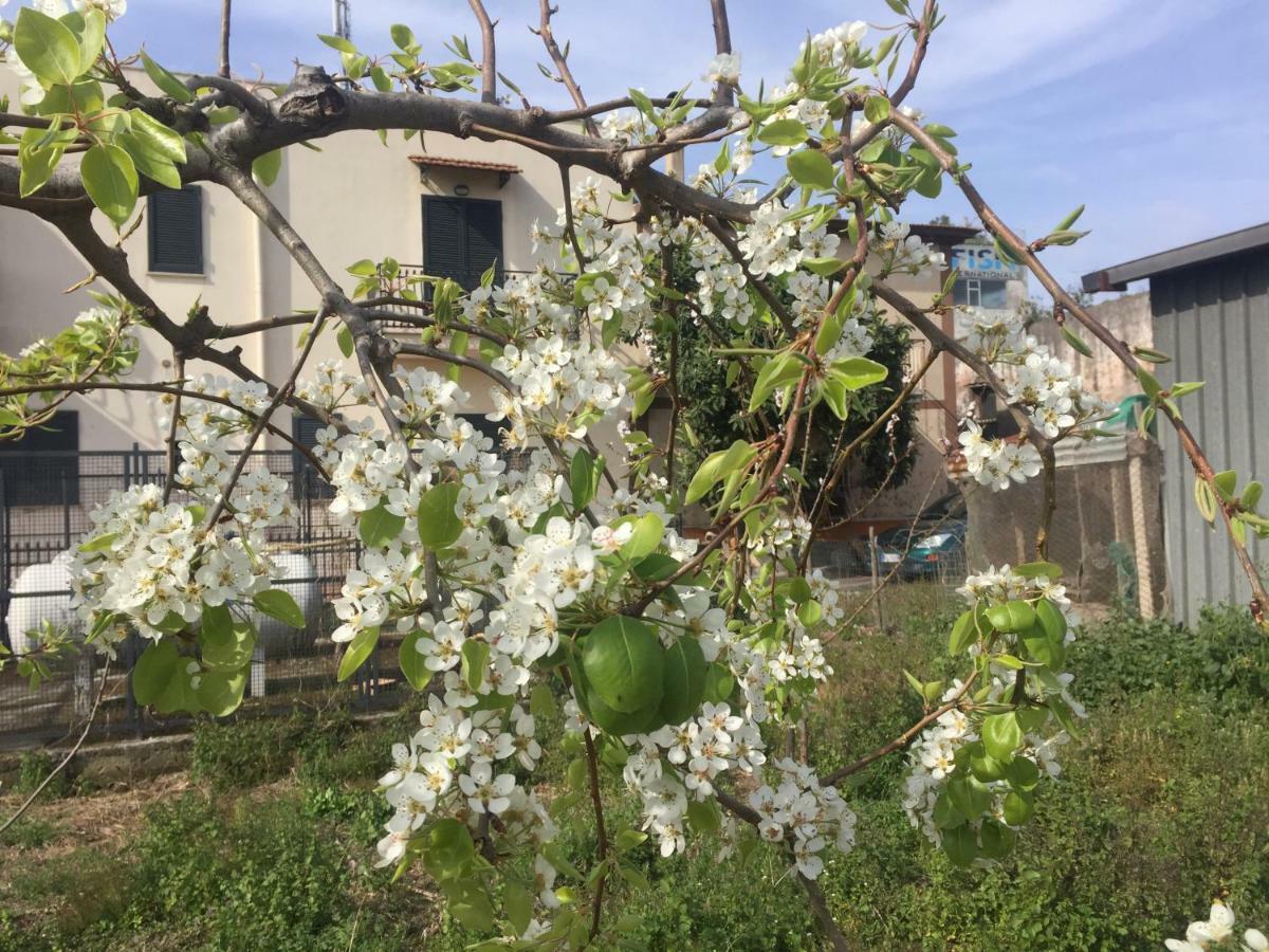 Il Giardino Di Nonno Agostino Castellammare di Stabia Exterior foto