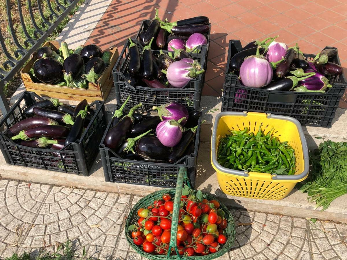 Il Giardino Di Nonno Agostino Castellammare di Stabia Exterior foto