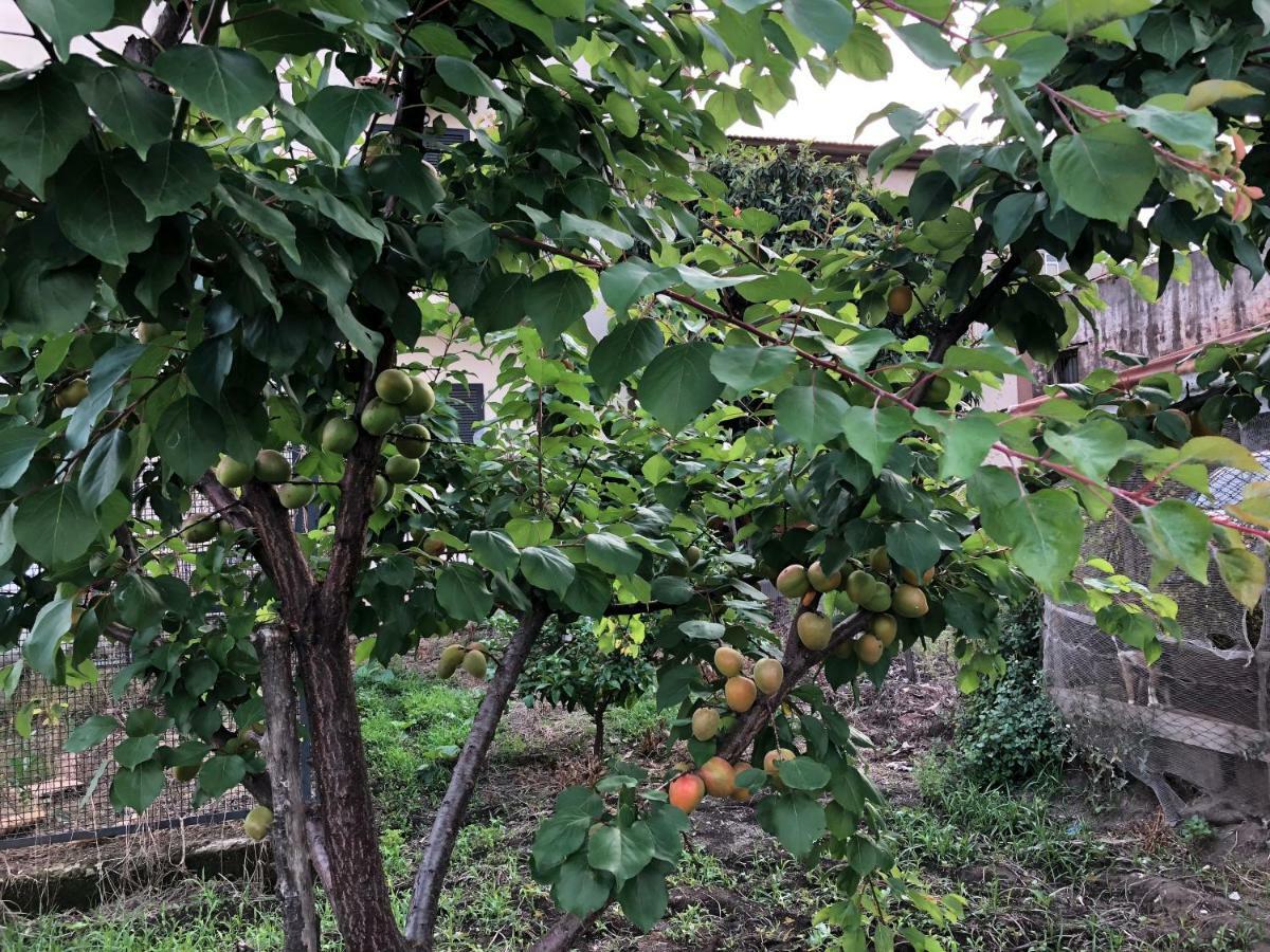 Il Giardino Di Nonno Agostino Castellammare di Stabia Exterior foto