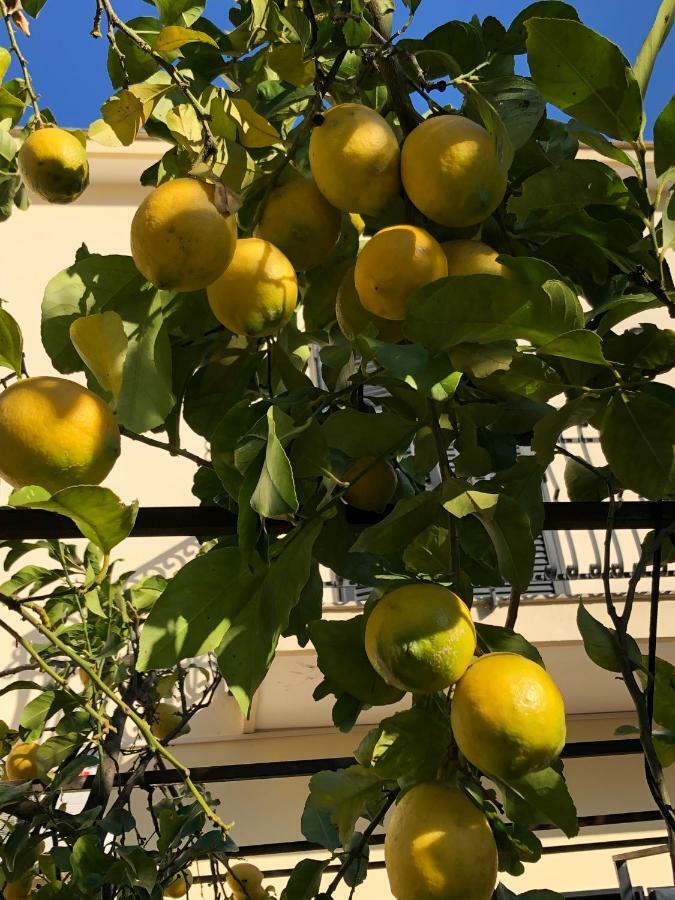 Il Giardino Di Nonno Agostino Acomodação com café da manhã Castellammare di Stabia Exterior foto