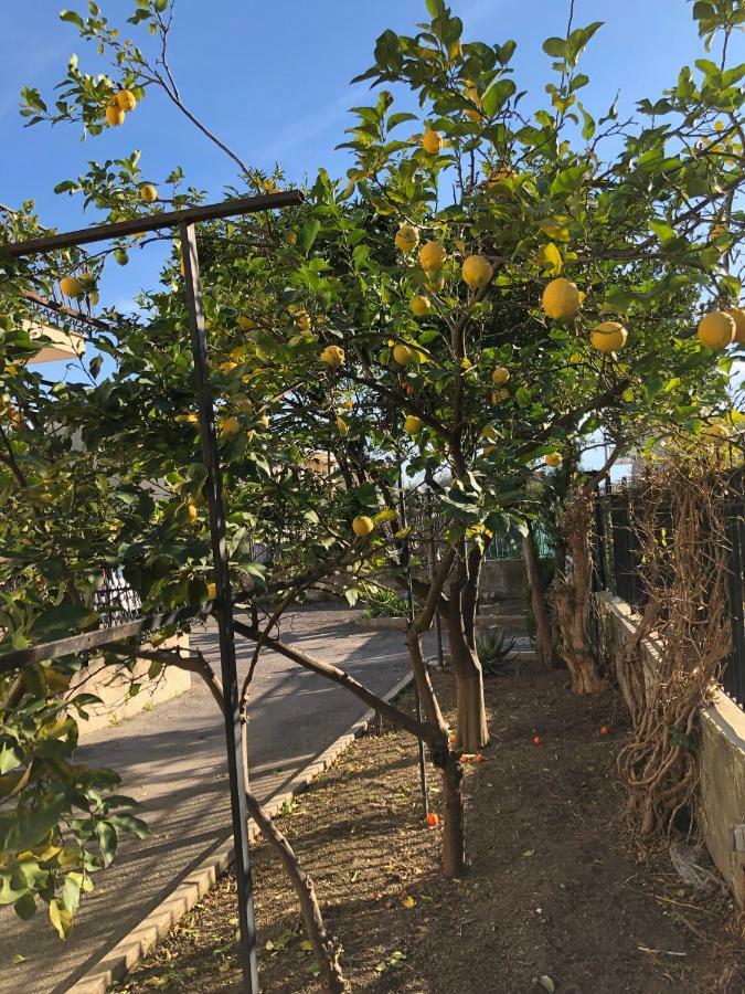 Il Giardino Di Nonno Agostino Acomodação com café da manhã Castellammare di Stabia Exterior foto